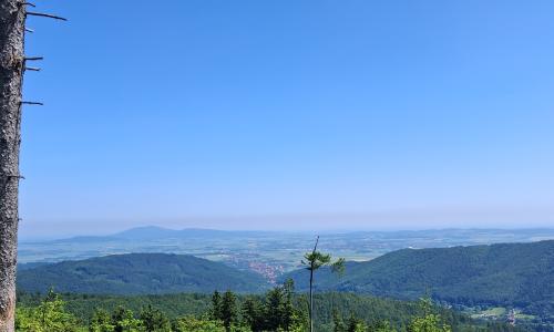 Sowie Pokoje - wynajmij mieszkanie w urokliwym miejscu! Góry Sowie, Jugów