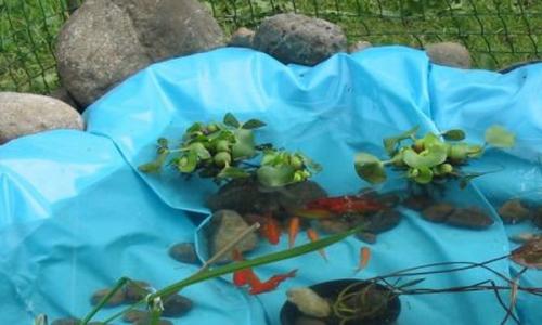 Apartamenty nad kaszubskim jeziorem, obok Wieżycy i Domu do Góry Nogami